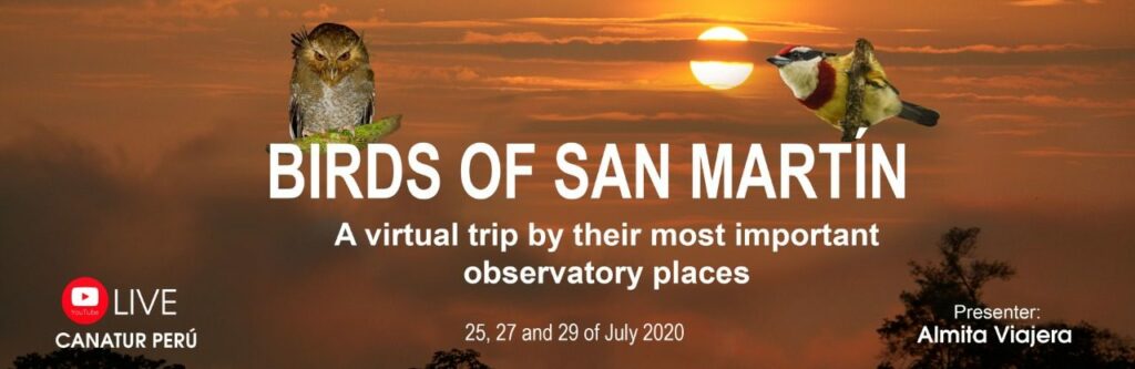 birds of san martin