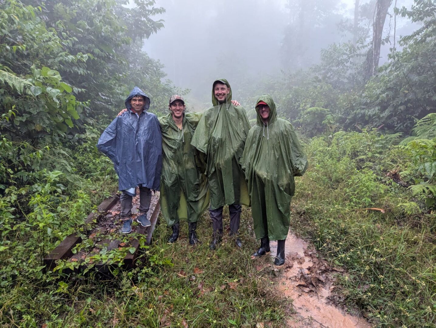 Scarlet-banded Barbet expedition / Expedición Barbudo de franja Escarlata