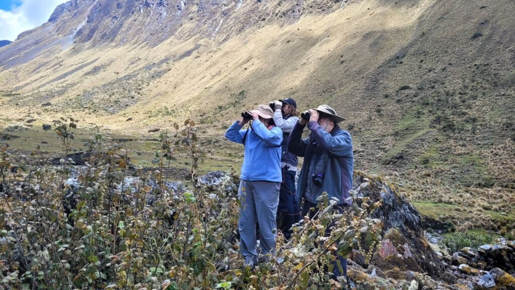 Birding in Peru and Bolivia
